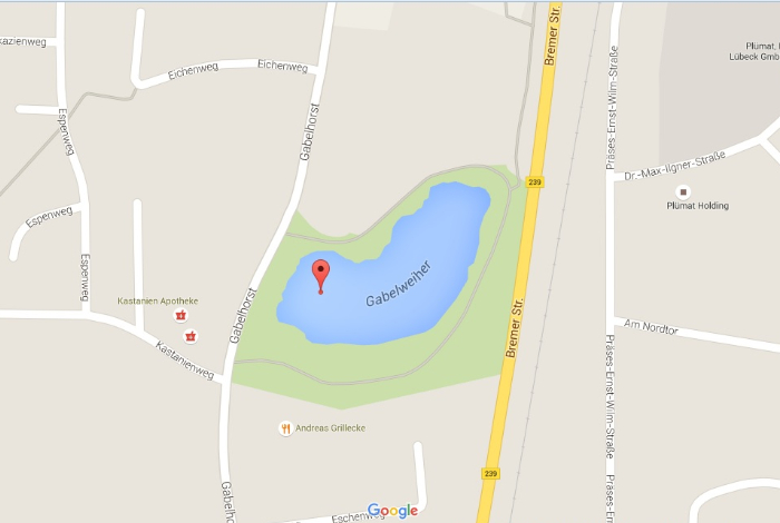 Gabelweiher Google Maps